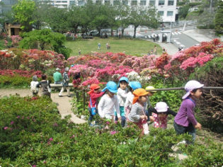 花の木公園